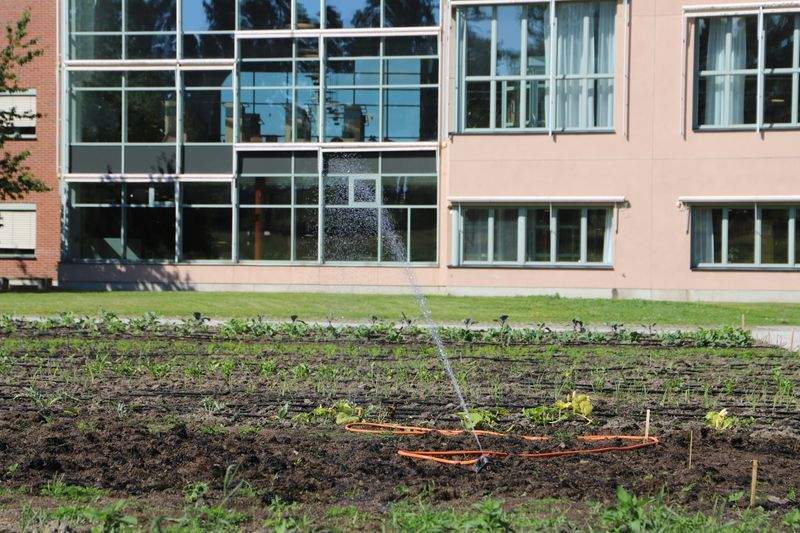 小さな都市型庭園のための季節ごとの植物ケアワークフロー