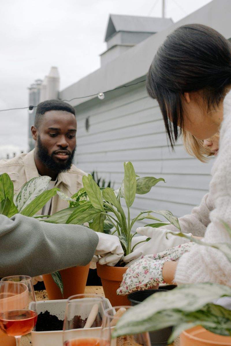 観葉植物のレンタル・管理